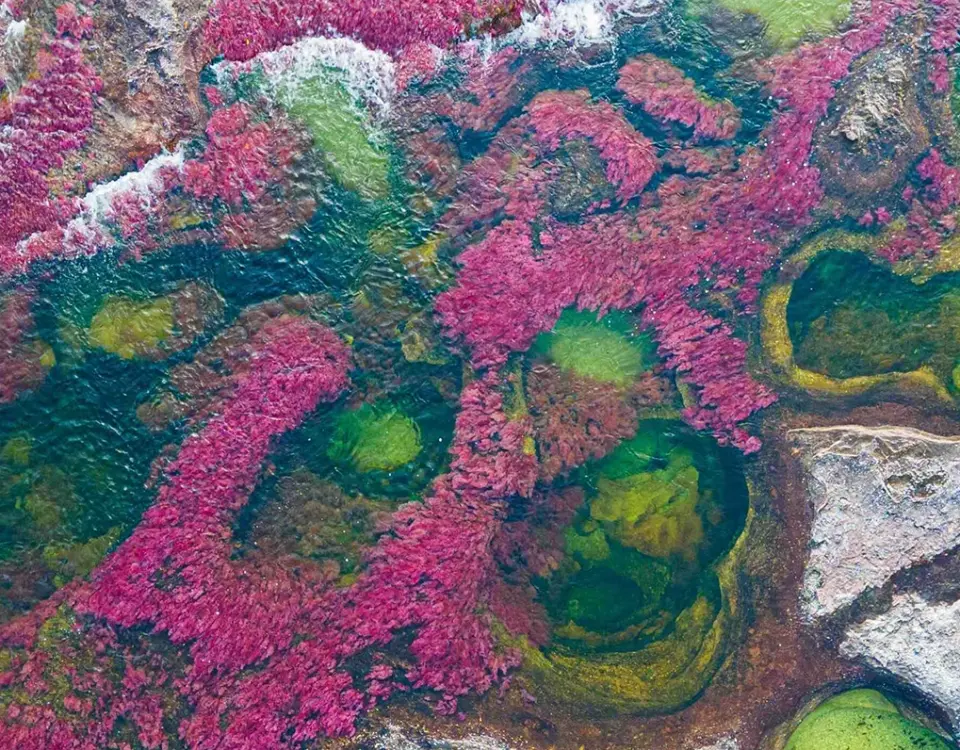 Viaja a Caño cristales