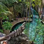 Cancun y Riviera Maya Xcaret Cenotes